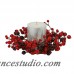 The Holiday Aisle Mixed Berry Candle Ring HLDY2126
